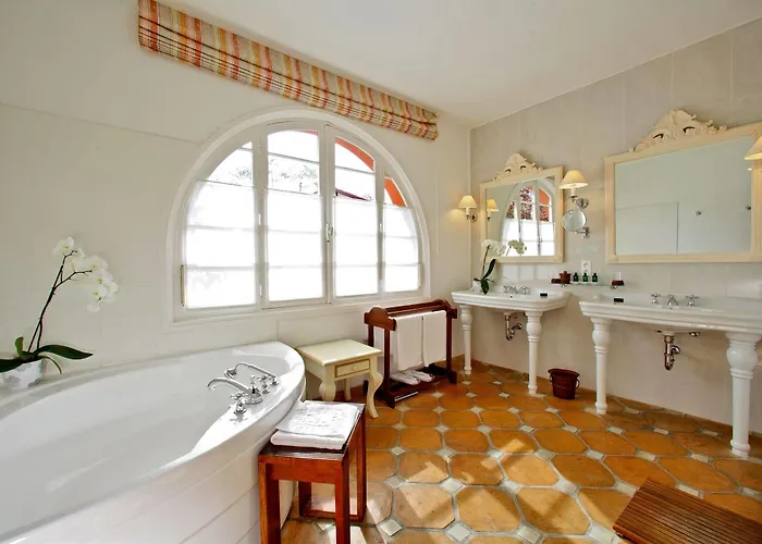 Les Hortensias Du - Fontenille Collection Soorts-Hossegor