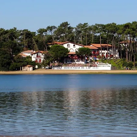 Les Hortensias Du Hotel