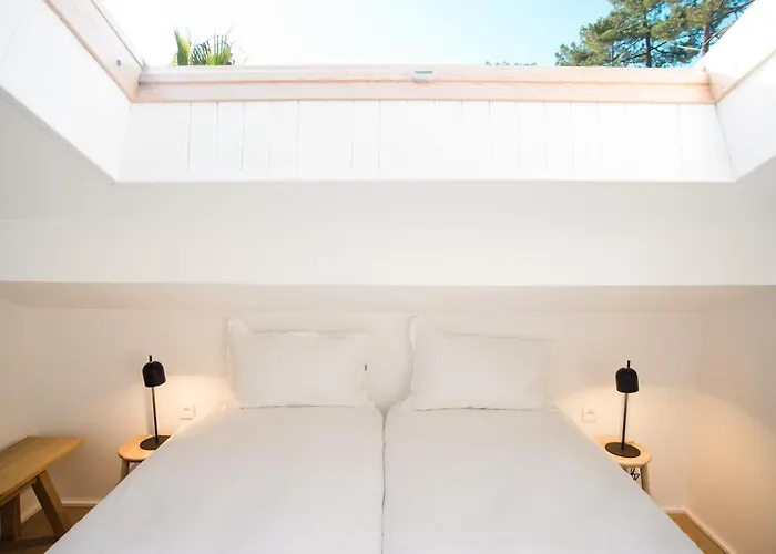 Les Hortensias Du - Fontenille Collection Soorts-Hossegor